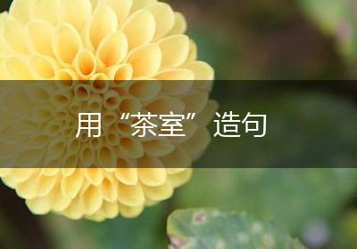 用“茶室”造句