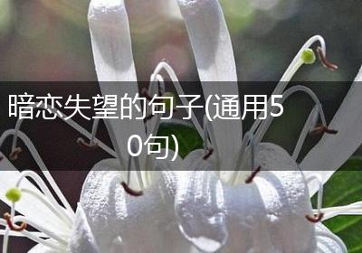 暗恋失望的句子(通用50句)