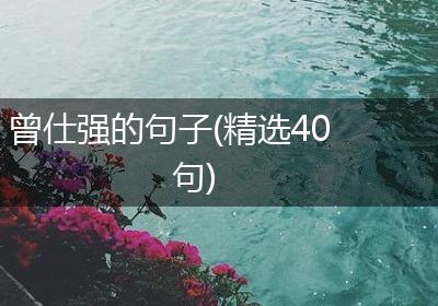 曾仕强的句子(精选40句)