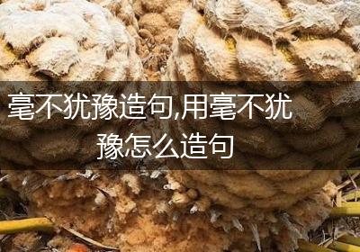 毫不犹豫造句,用毫不犹豫怎么造句