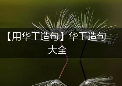【用华工造句】华工造句大全