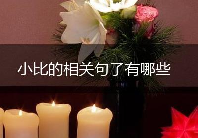 小比的相关句子有哪些