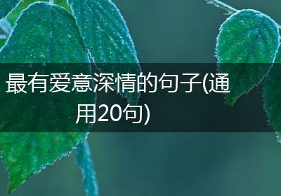 最有爱意深情的句子(通用20句)
