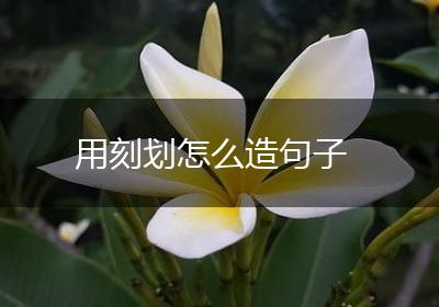 用刻划怎么造句子