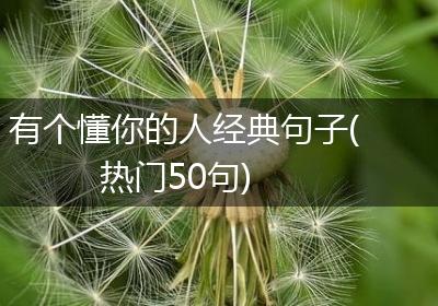 有个懂你的人经典句子(热门50句)