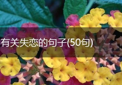 有关失恋的句子(50句)