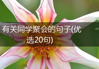 有关同学聚会的句子(优选20句)