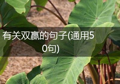 有关双赢的句子(通用50句)