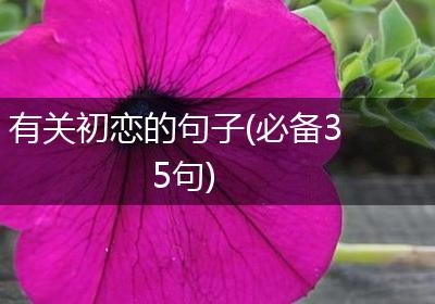 有关初恋的句子(必备35句)