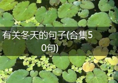 有关冬天的句子(合集50句)