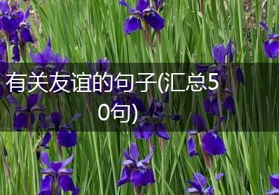 有关友谊的句子(汇总50句)