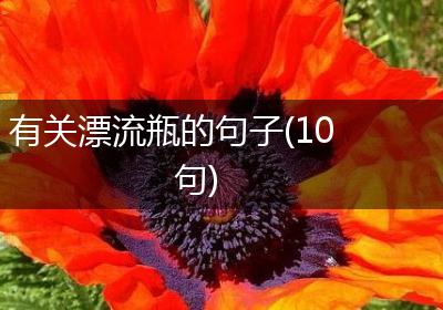 有关漂流瓶的句子(10句)