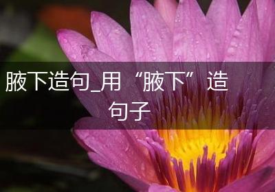 腋下造句_用“腋下”造句子