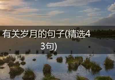 有关岁月的句子(精选43句)