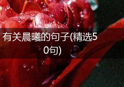 有关晨曦的句子(精选50句)