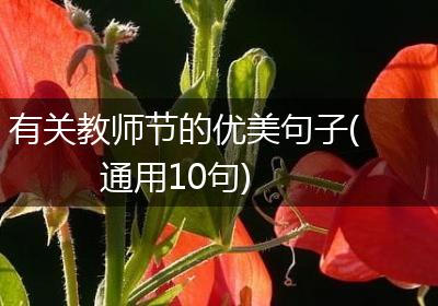 有关教师节的优美句子(通用10句)