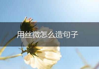 用丝微怎么造句子