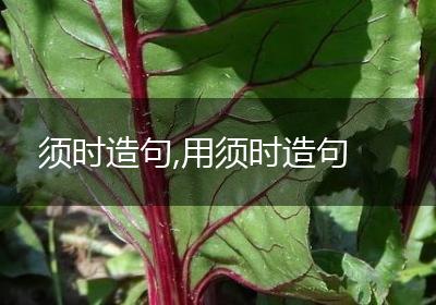 须时造句,用须时造句