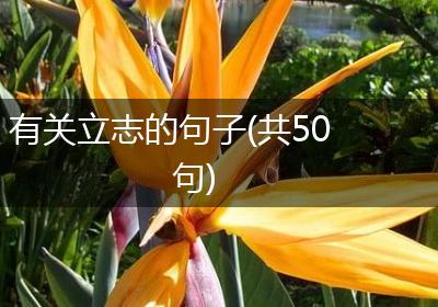 有关立志的句子(共50句)