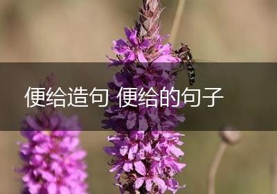 便给造句 便给的句子