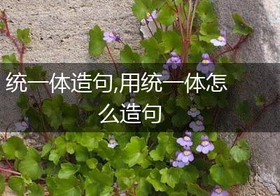 统一体造句,用统一体怎么造句