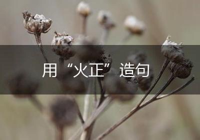 用“火正”造句
