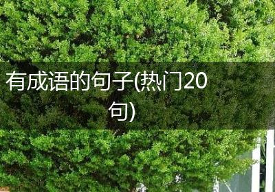 有成语的句子(热门20句)