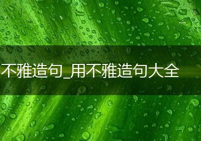 不雅造句_用不雅造句大全