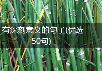 有深刻意义的句子(优选50句)