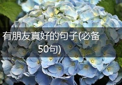 有朋友真好的句子(必备50句)