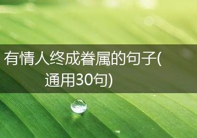 有情人终成眷属的句子(通用30句)