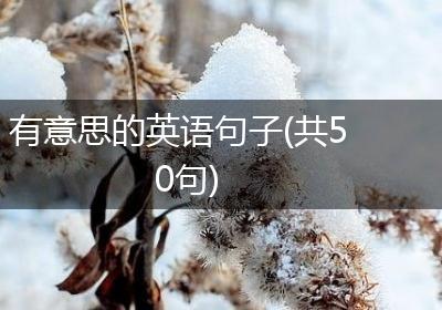 有意思的英语句子(共50句)