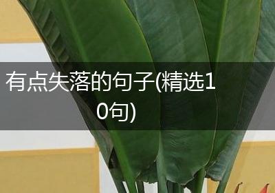 有点失落的句子(精选10句)
