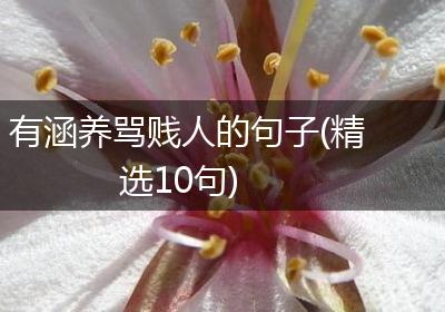有涵养骂贱人的句子(精选10句)