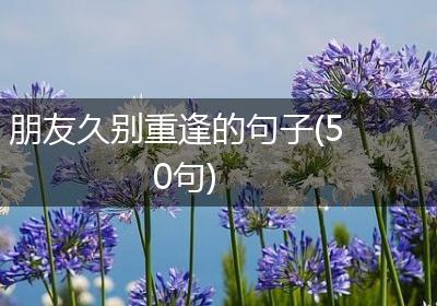 朋友久别重逢的句子(50句)