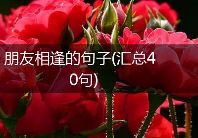 朋友相逢的句子(汇总40句)