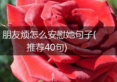 朋友烦怎么安慰她句子(推荐40句)