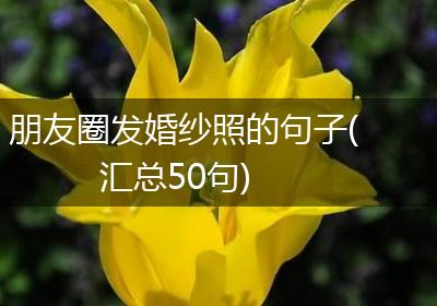 朋友圈发婚纱照的句子(汇总50句)