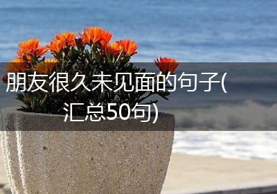 朋友很久未见面的句子(汇总50句)