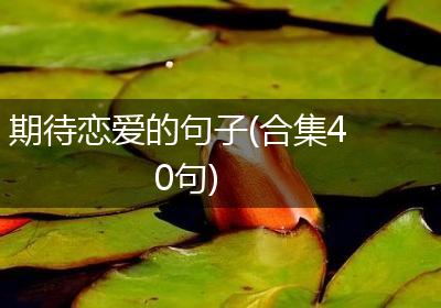 期待恋爱的句子(合集40句)