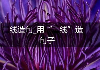 二线造句_用“二线”造句子