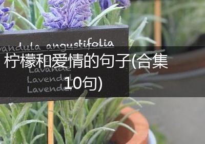 柠檬和爱情的句子(合集10句)