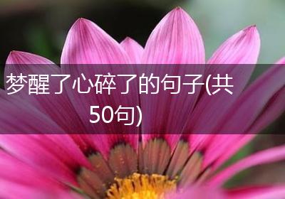 梦醒了心碎了的句子(共50句)