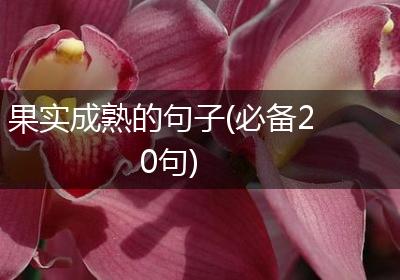 果实成熟的句子(必备20句)