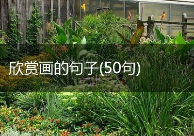 欣赏画的句子(50句)