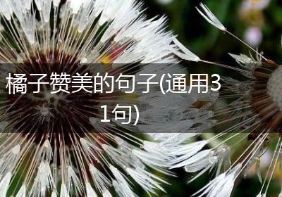 橘子赞美的句子(通用31句)