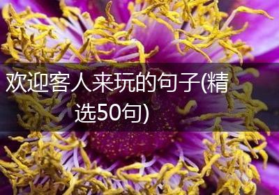 欢迎客人来玩的句子(精选50句)