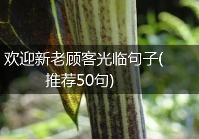 欢迎新老顾客光临句子(推荐50句)