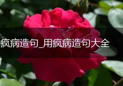 疯病造句_用疯病造句大全