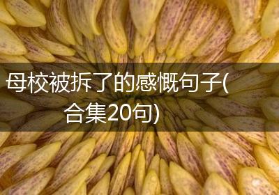 母校被拆了的感慨句子(合集20句)